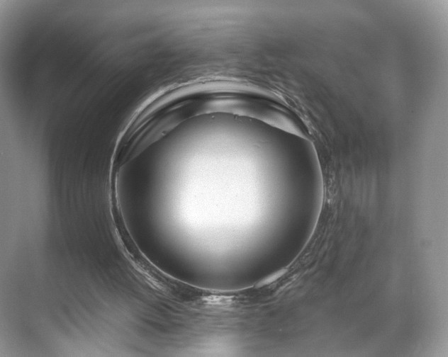 X0000071330052200606301611