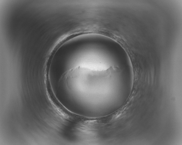 X0000071330054200606301611