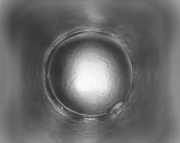 X0000071330055200606301611