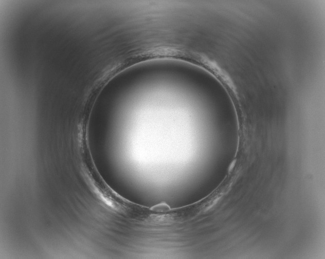 X0000071330057200606301611