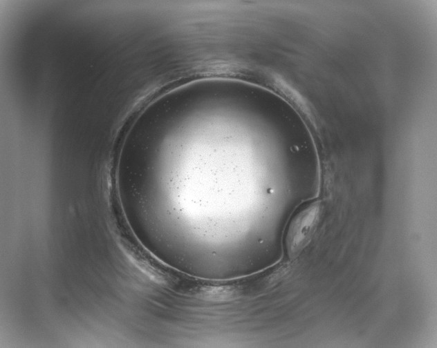 X0000071330059200606301611