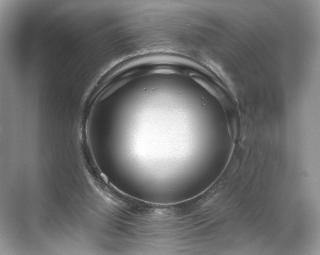 X0000071330060200606301611