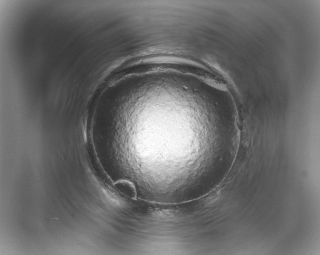 X0000071330062200606301611