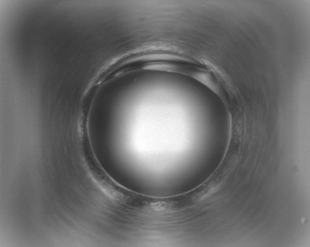 X0000071330064200606301611