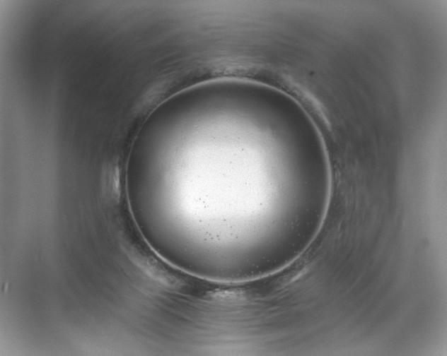 X0000071330067200606301611