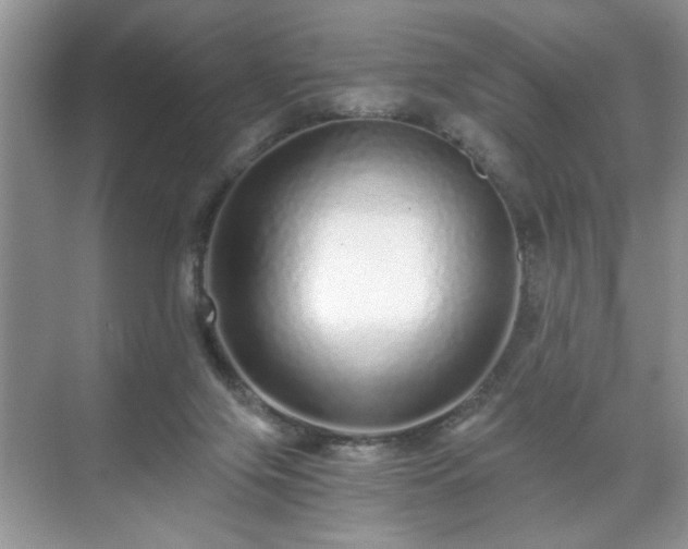 X0000071330071200606301611