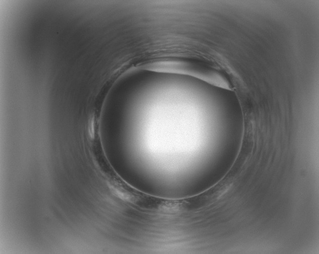 X0000071330076200606301611