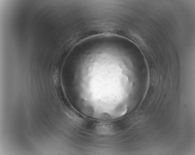 X0000071330077200606301611