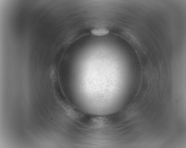 X0000071330079200606301611