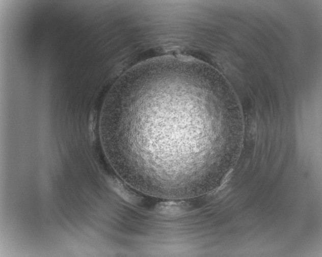 X0000071330082200606301611