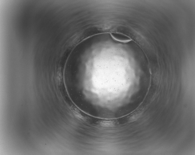 X0000071330085200606301611