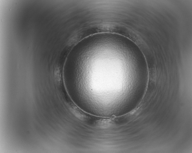 X0000071330086200606301611