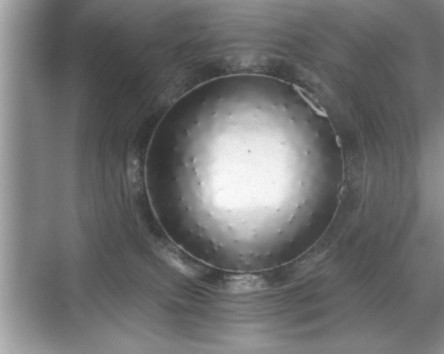 X0000071330087200606301612