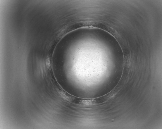 X0000071330089200606301612