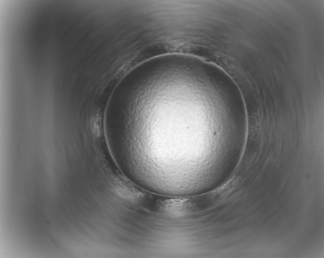 X0000071330090200606301612