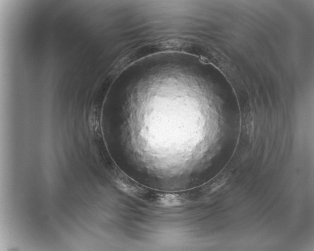 X0000071330091200606301612