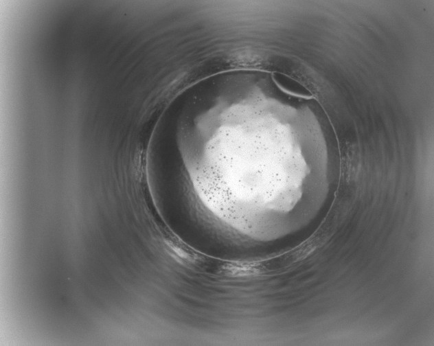 X0000071330093200606301612