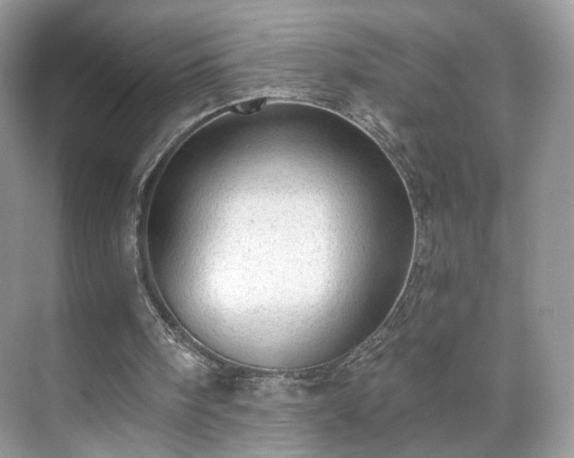 X0000071330098200606301611