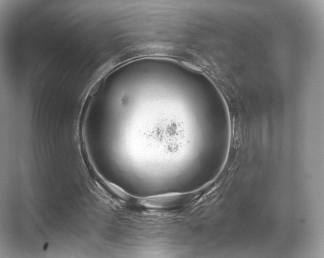 X0000071330099200606301611