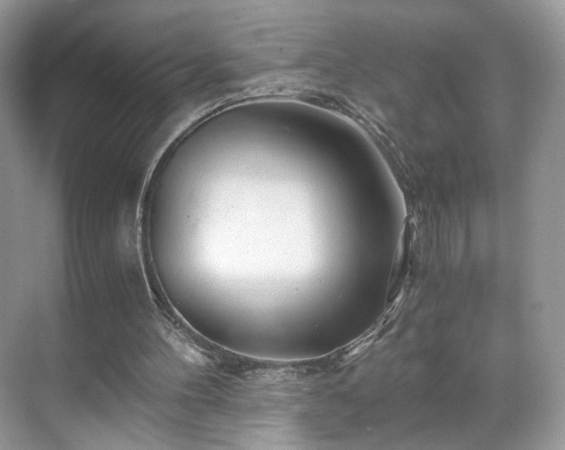 X0000071330100200606301611