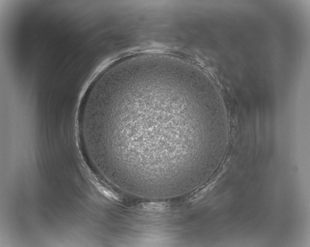 X0000071330102200606301611