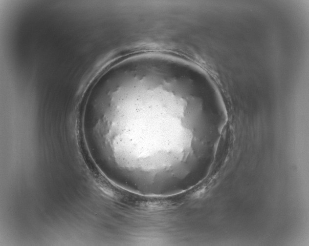 X0000071330103200606301611