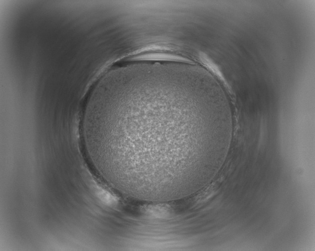 X0000071330106200606301611