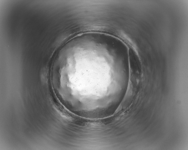 X0000071330107200606301611