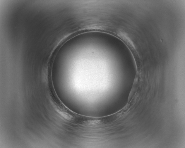 X0000071330108200606301611