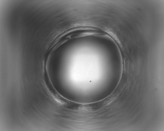 X0000071330109200606301611