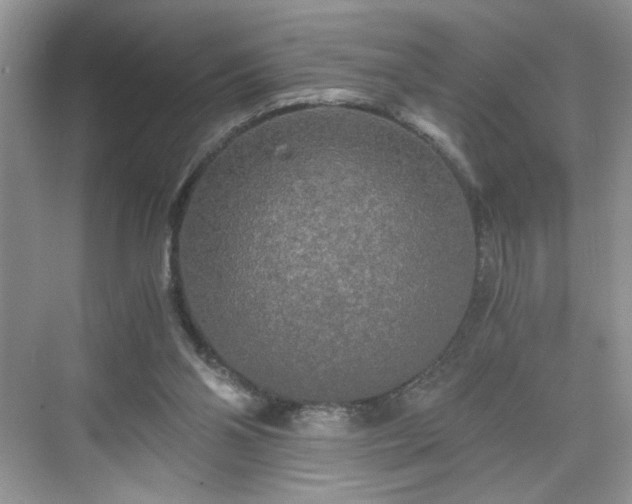 X0000071330110200606301611