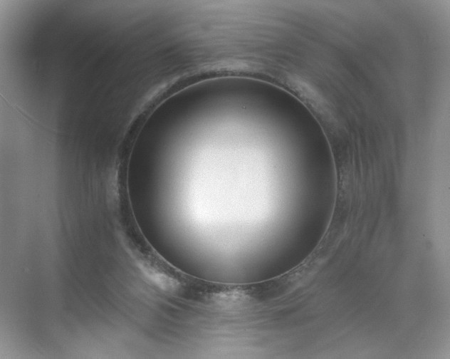 X0000071330112200606301611