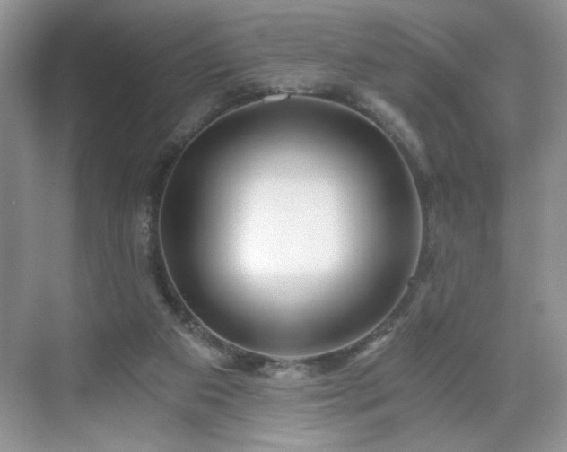 X0000071330113200606301611