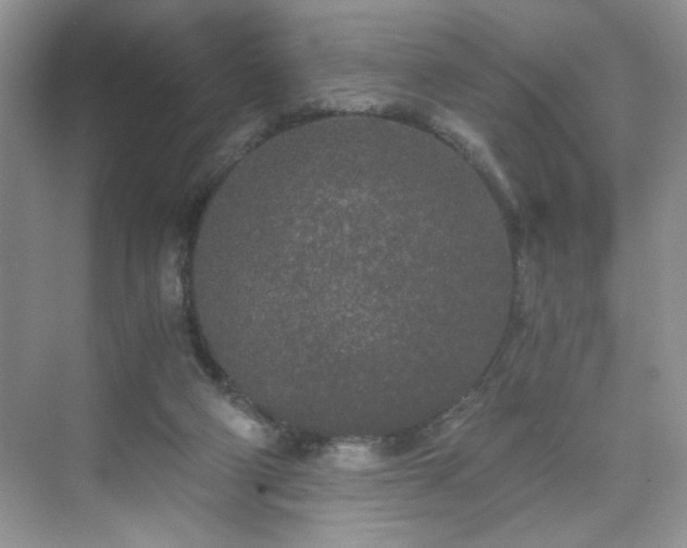 X0000071330114200606301611