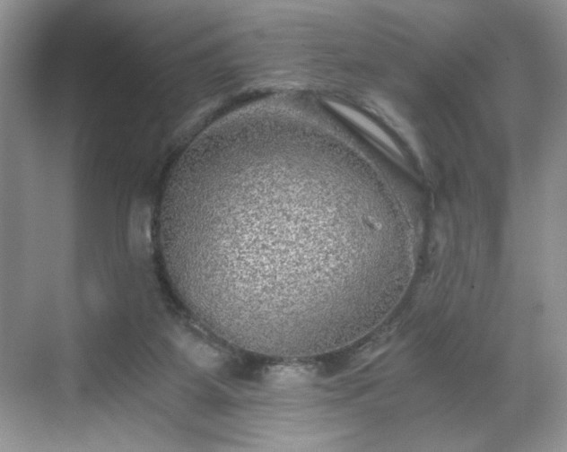 X0000071330115200606301611