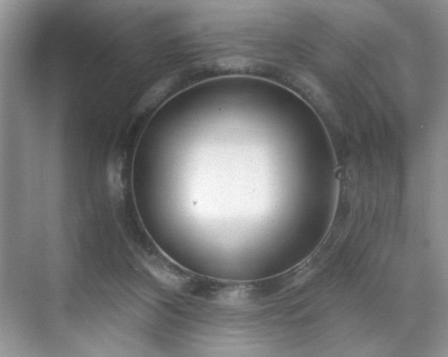 X0000071330116200606301611