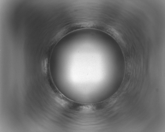 X0000071330118200606301611