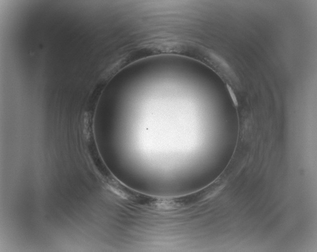 X0000071330121200606301610