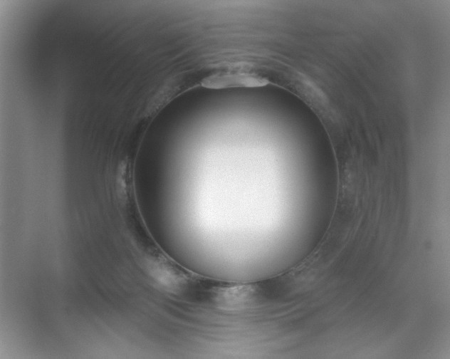 X0000071330122200606301610