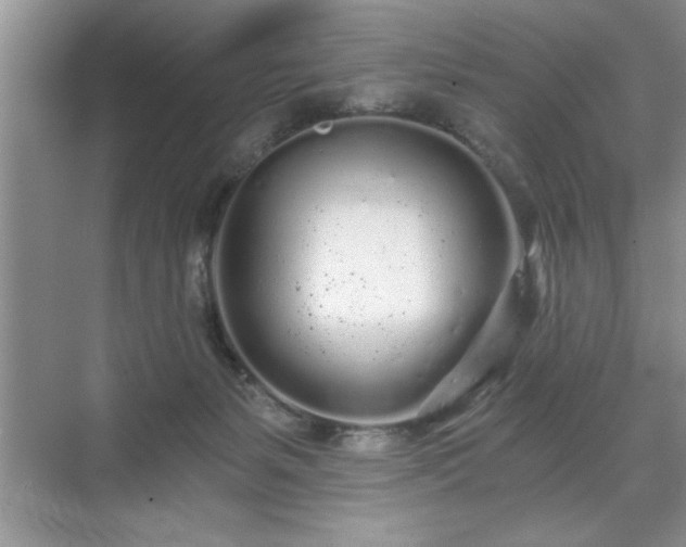 X0000071330127200606301610