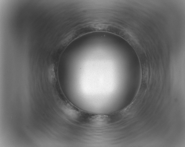 X0000071330128200606301610