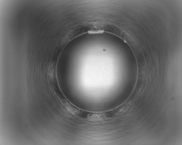 X0000071330129200606301610