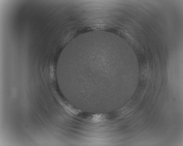 X0000071330130200606301610