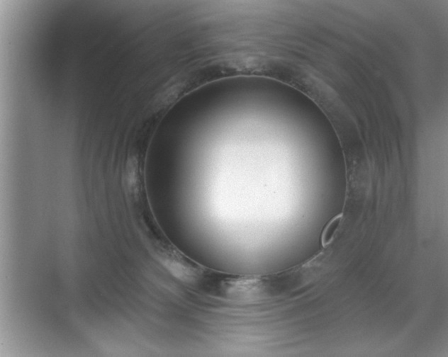 X0000071330132200606301610