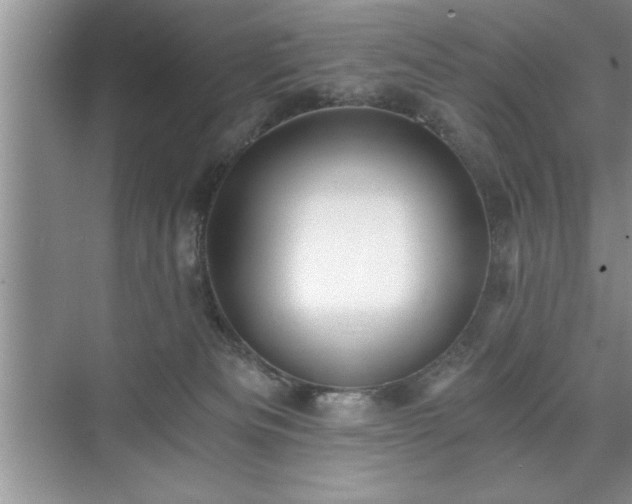 X0000071330133200606301610