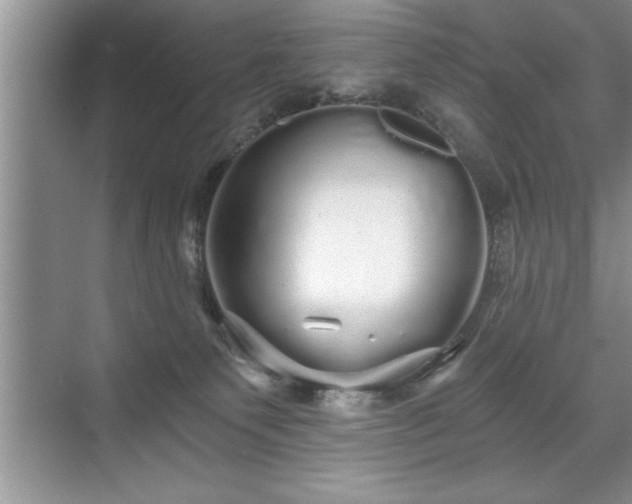 X0000071330135200606301610