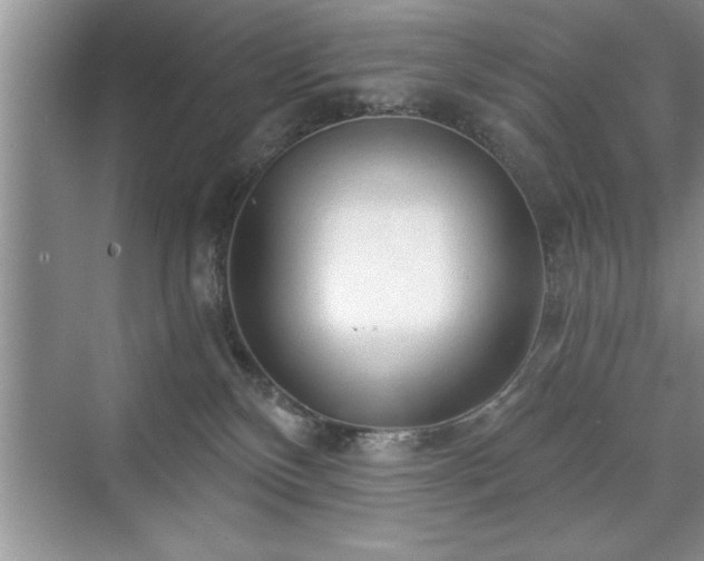 X0000071330136200606301610