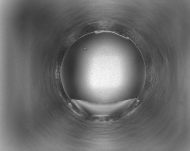 X0000071330137200606301610