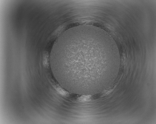 X0000071330138200606301610