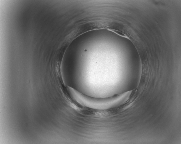 X0000071330141200606301610